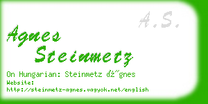 agnes steinmetz business card